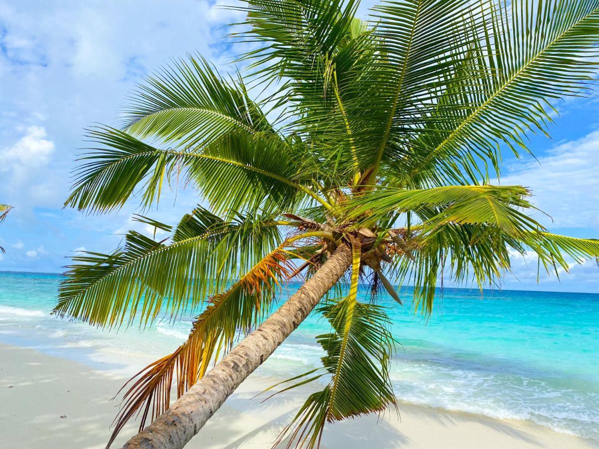 Tme Retreats Dhigurah Hotel Dhigurah  Ngoại thất bức ảnh
